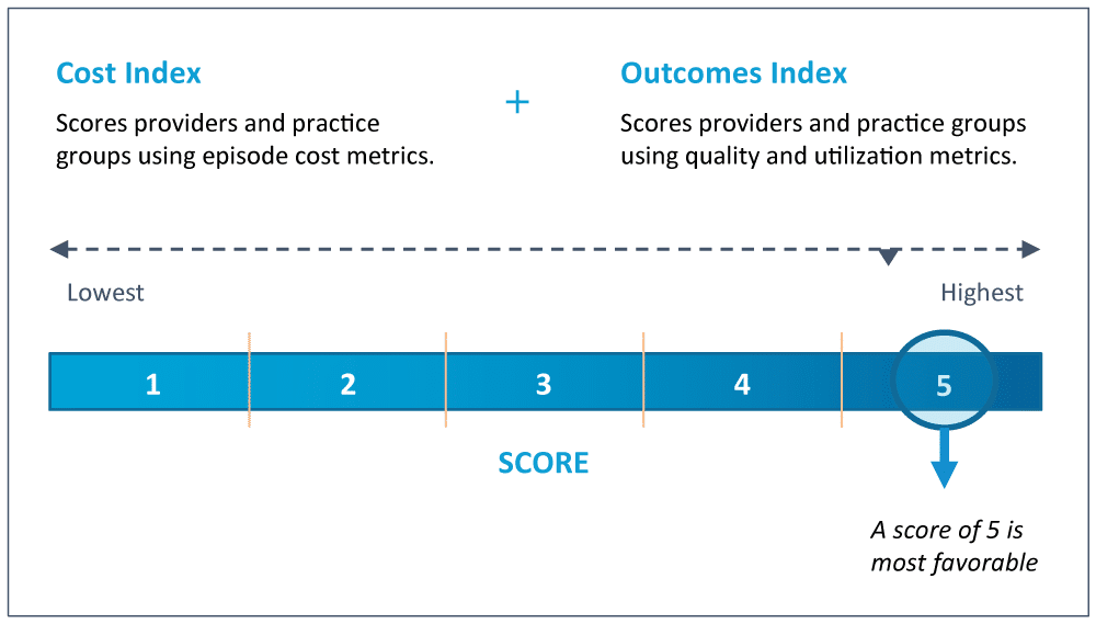 CareJourney Cost Index Outcomes Index Scale
