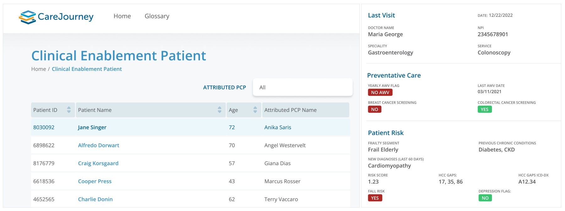 Sample CareJourney patient profile to enable informed and well-timed care management decisions.